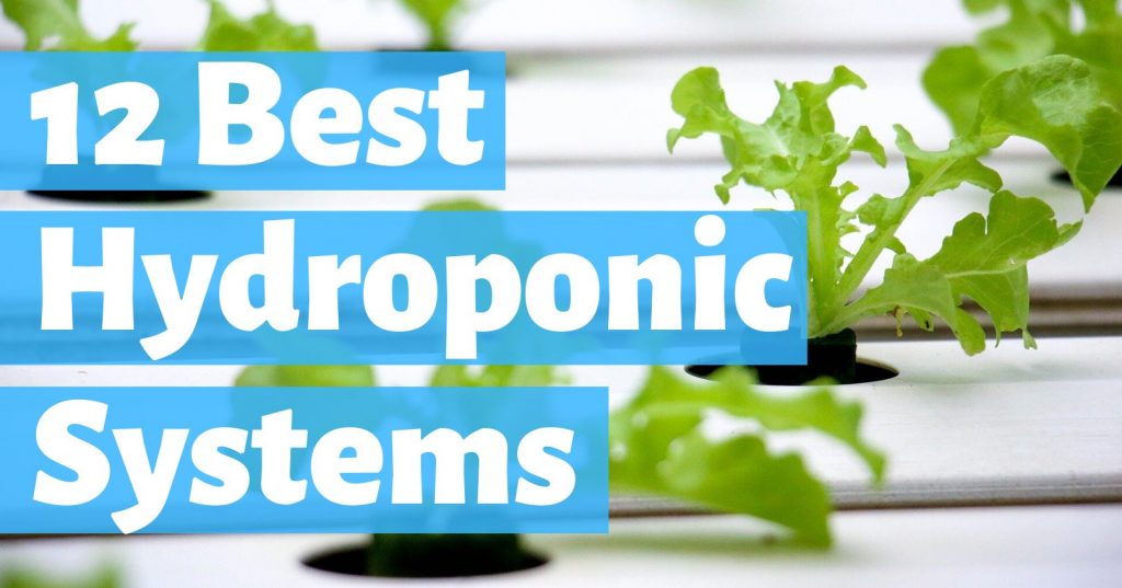 best hydroponic systems