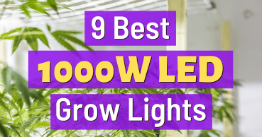 best 1000w led grow light reviews