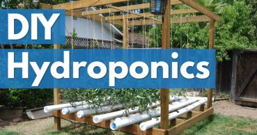 diy hydroponics