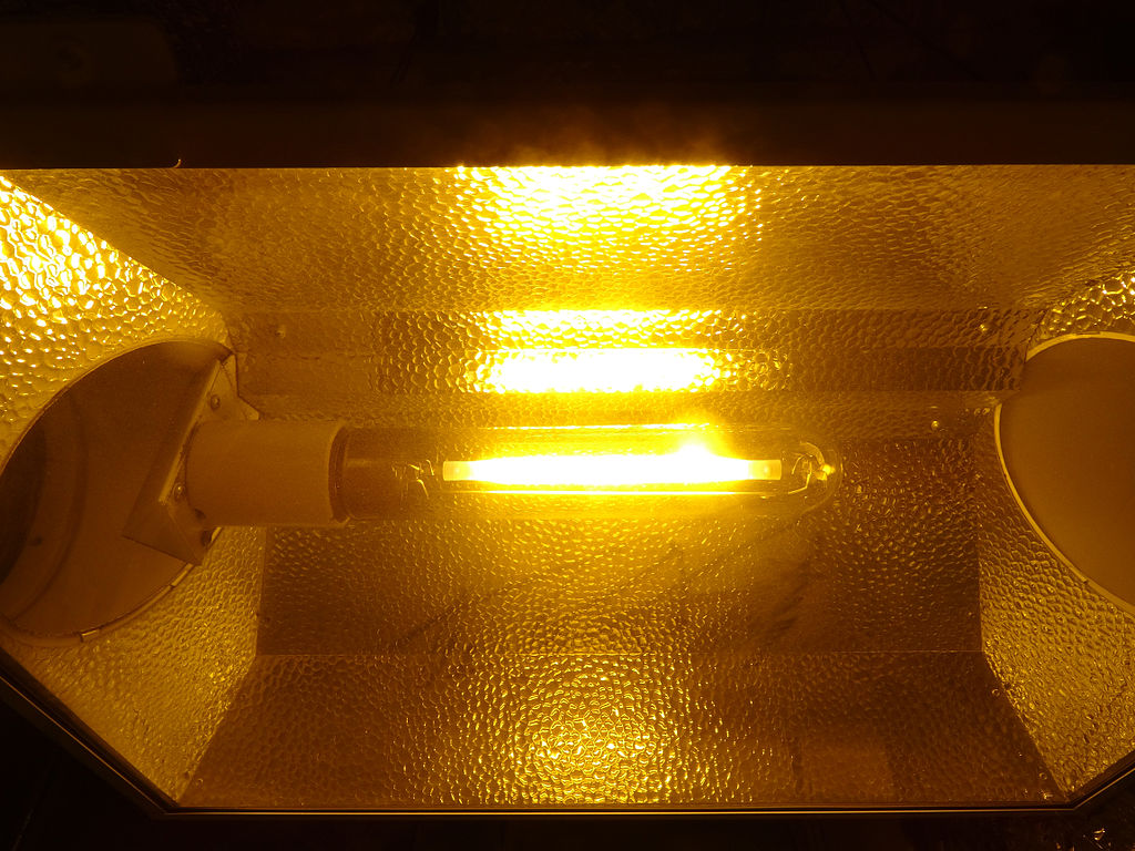 Example of an HPS grow light bulb, a type of HID light