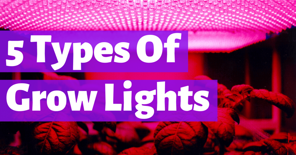 types of grow lights
