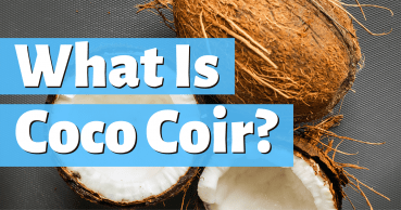 what is coco coir