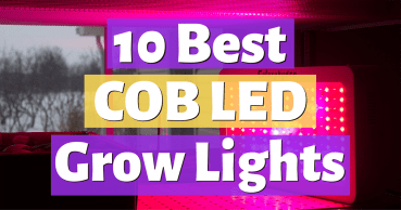 best cob led grow lights