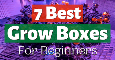 best grow box for beginners