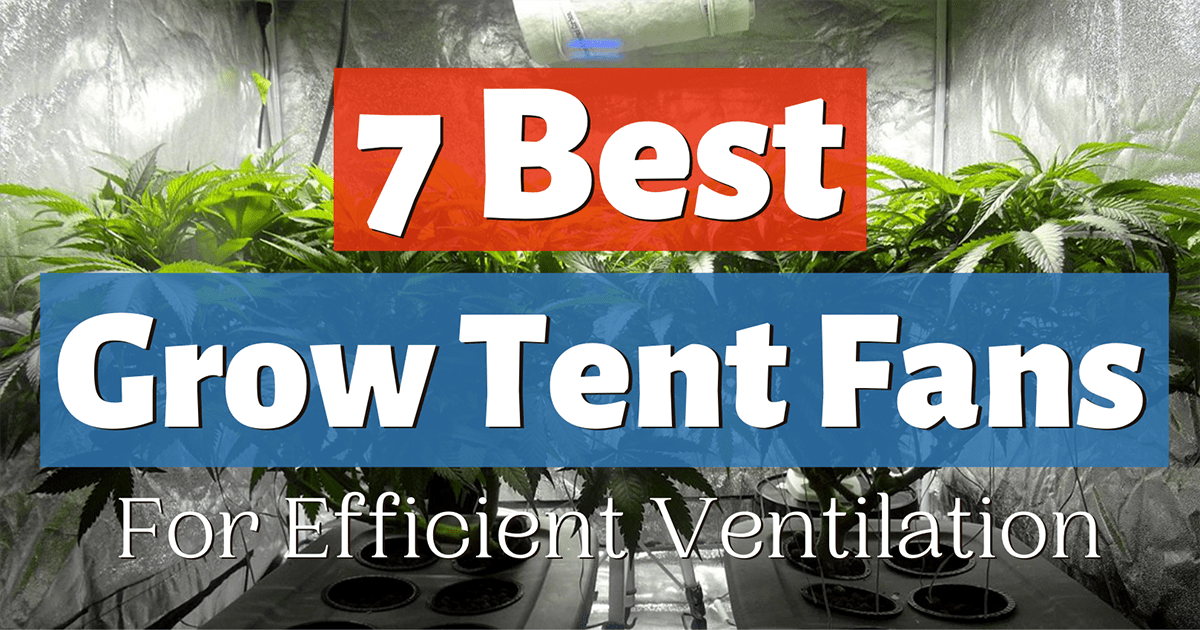 Best Fan For Grow Tents (Reviews And Comparison) - Grow Light Info