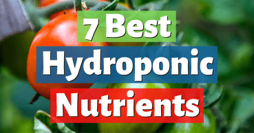 best hydroponic nutrients