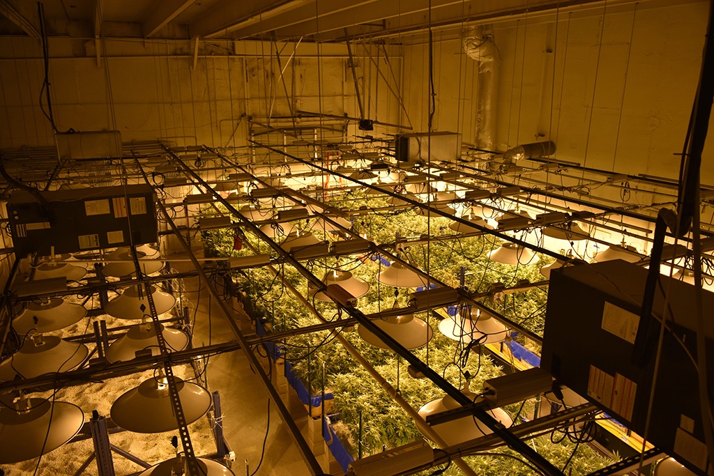 full sized grow room