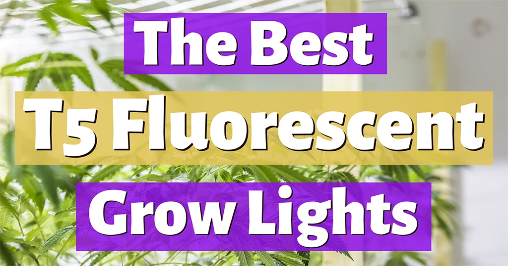 The Best T5 Grow Lights 3000k 6500k, Vivosun 6500k 2ft T5 Ho Fluorescent Grow Light Fixture